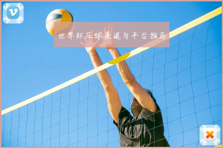 世界杯压球渠道与平台推荐
