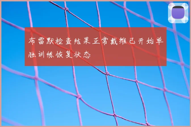 布雷默检查结果正常戴维已开始单独训练恢复状态