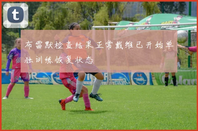 布雷默检查结果正常戴维已开始单独训练恢复状态