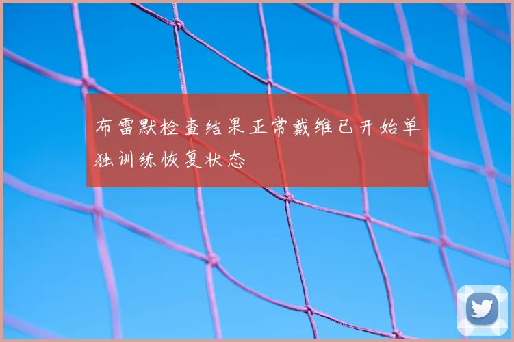 布雷默检查结果正常戴维已开始单独训练恢复状态