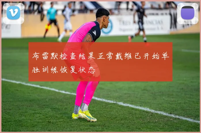 布雷默检查结果正常戴维已开始单独训练恢复状态