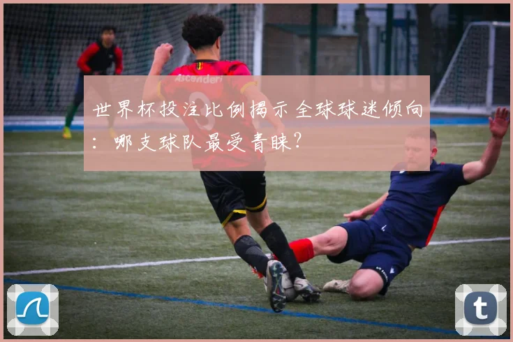 世界杯投注比例揭示全球球迷倾向：哪支球队最受青睐？