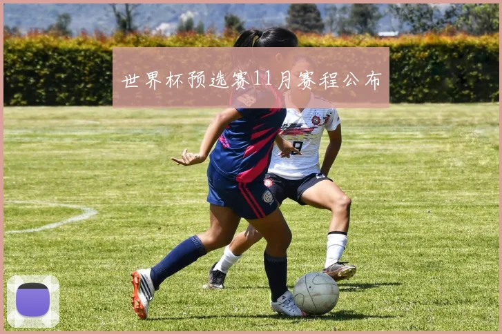 世界杯预选赛11月赛程公布