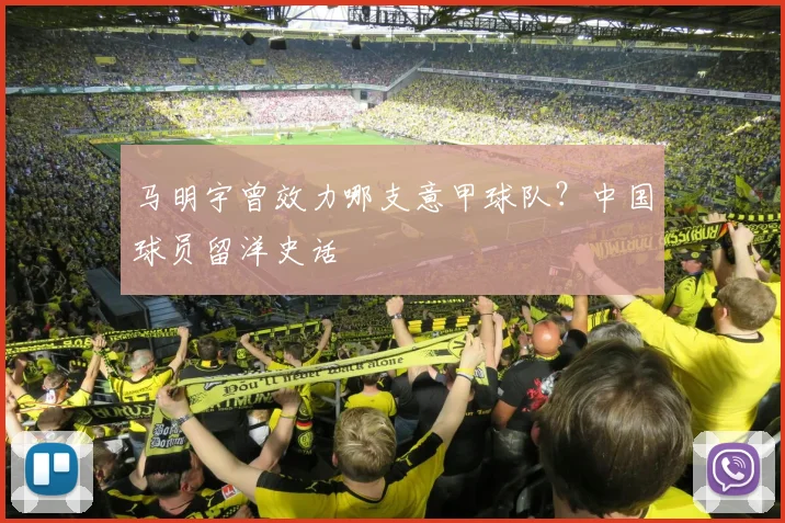 马明宇曾效力哪支意甲球队？中国球员留洋史话