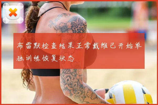 布雷默检查结果正常戴维已开始单独训练恢复状态